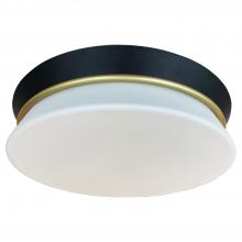  FM8039E-SB/BK - Flush Mount Satin Brass/Black