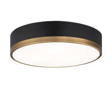 Matteo Lighting M14303BKAG - Trydor Black, Aged Gold Brass Ceiling Mount
