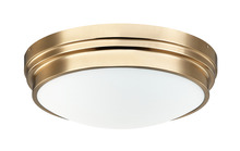  X46402AG - Fresh Colonial Ceiling Mount