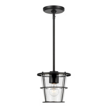  6001401-112 - Tex One Light Pendant