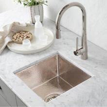  CPS834 - Cantina Bar and Prep Sink in Polished Nickel