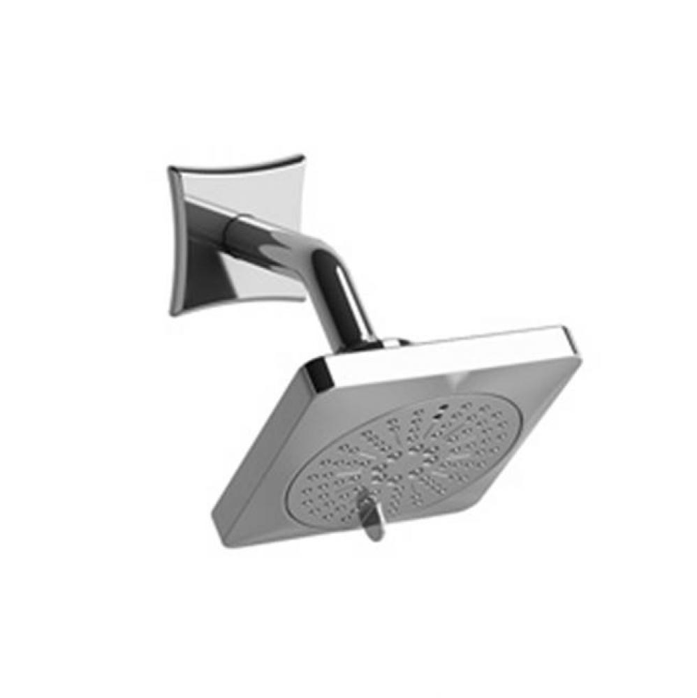 2-Jet Shower Head With Arm
