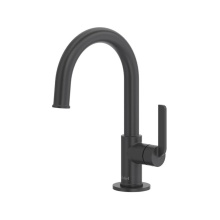 Riobel AU701BK - Authentica™ Filter Kitchen Faucet