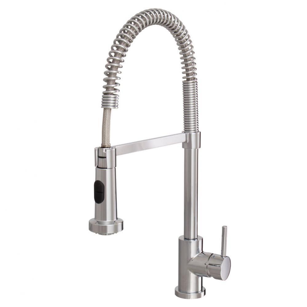 30045 Wizard Pull-Down Spray Kitchen Faucet