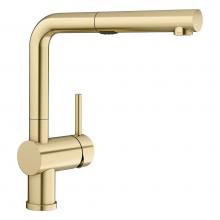 Blanco Canada 526686 - Linus Pull Out 1.5 Gpm Satin Gold