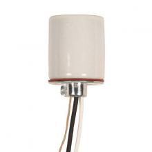  80/1113 - Keyless Porcelain Socket; 1/4 IPS Cap With Set Screw; 20 in. AWM B/W 150C W/ Grid; CSSNP Screw