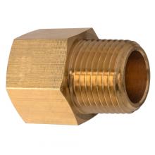 Paulin D120-EE - 3/4"x3/4" Pipe Adaptor Brass