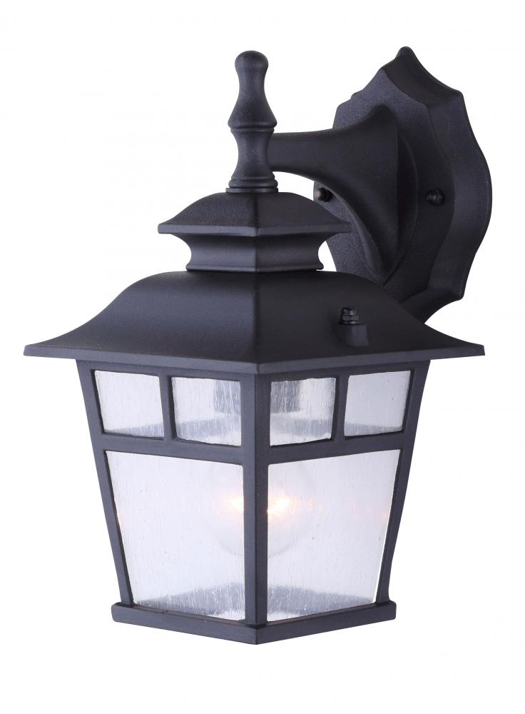 Fieldhouse 1 Light Outdoor Lantern, Black Finish