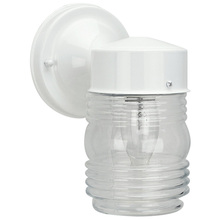 Canarm IOL2011 - Outdoor 1 Bulb Outdoor, Clear Glass, 60W Type A or B