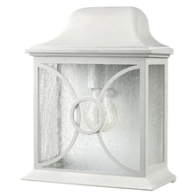 Canarm IOL9211 - Outdoor 1 Bulb Outdoor Lantern, Frosted Glass, 60W Type A or B