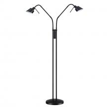  FL4048-2-BLK - FLOOR LAMP