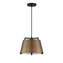  PF264-BRS/BLK - 1 LIGHT PENDANT