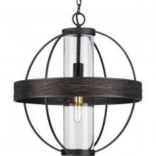  P550111-31M - P550111-31M 1-60W MED OUTDOOR PENDANT