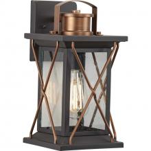  P560156-020 - P560156-020 1-100W MED WALL LANTERN