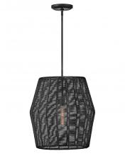 Hinkley Canada 40387BLK - Large Convertible Pendant