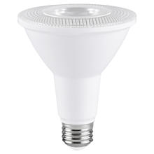 PAR 30 LED
