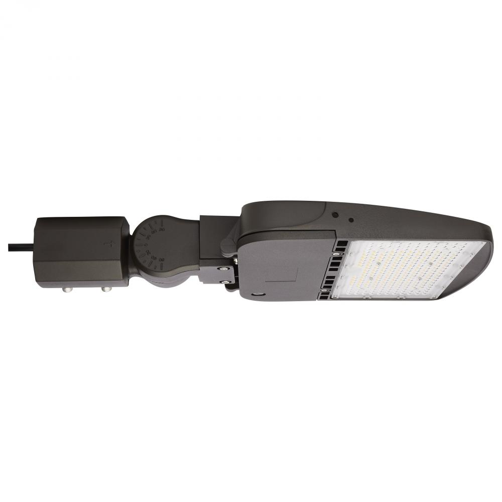 LED Area Light Type V; 150W; Bronze Finish; 4000K; 277-480V