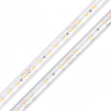 Diode Led DI-24V-BLBSC3-50-W016 - STRIP/TAPE LIGHT