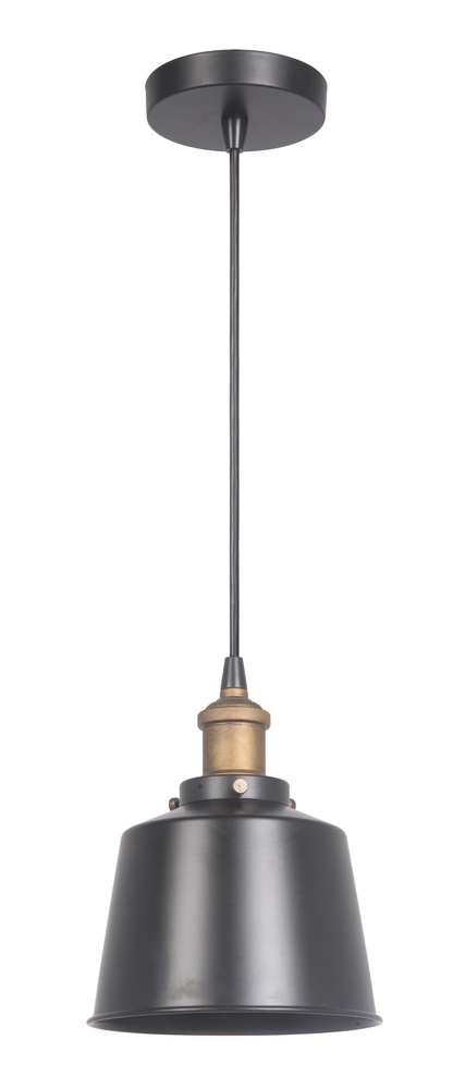 1 Light Mini Pendant in Matte Black/Patina Aged Brass