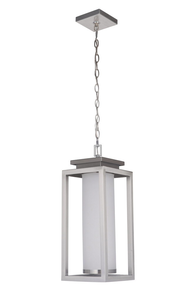 Vailridge 1 Light Large LED Outdoor Pendant in Stainless Steel